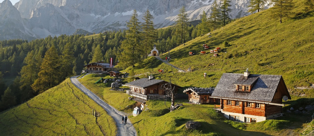 Almgebiet 5 Hütten, Wandertour in der Steiermark © Schladming-Dachstein Tourismus