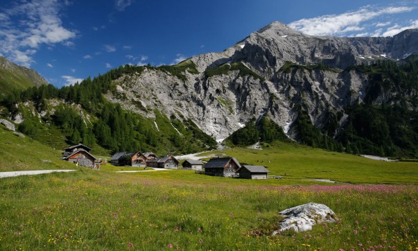 Herrliche Ausblicke und abwechslungsreiche Wandertouren im Almgebiet © Schladming-Dachstein Tourismus