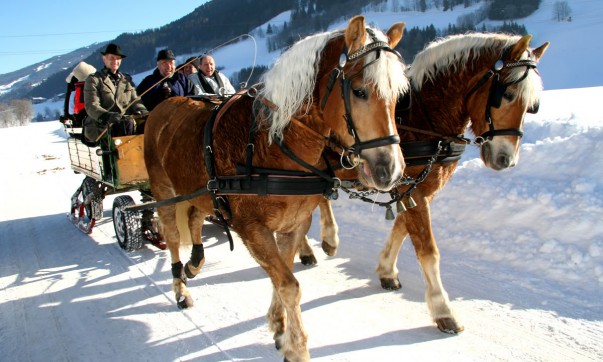 Romantische Pferdeschlittenfahrt in Schladming © Schladming-Dachstein Tourismus