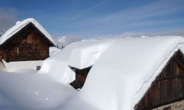 Tiefschnee
