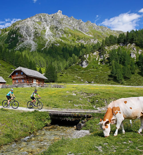 Mountainbiken in Österreich © Schladming-Dachstein Tourismus